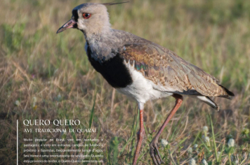 Foto - Quaraí 150 anos Emancipação Politica.