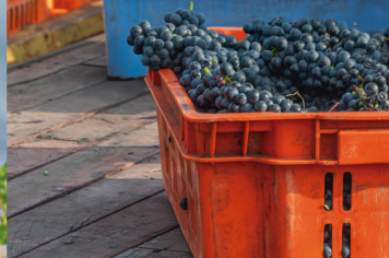 Foto - Quaraí 150 anos Emancipação Politica.