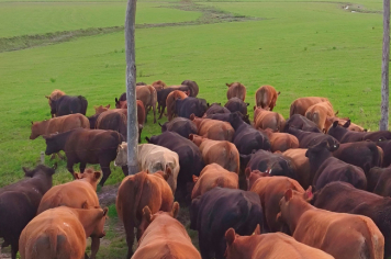 Foto - Quaraí 150 anos Emancipação Politica.