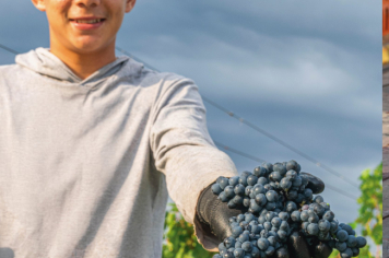 Foto - Quaraí 150 anos Emancipação Politica.