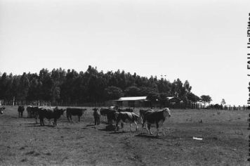 Foto - Querência Querida 03