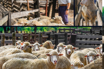 Foto - Quaraí 150 anos Emancipação Politica.