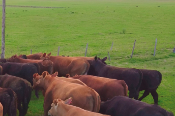 Foto - Quaraí 150 anos Emancipação Politica.
