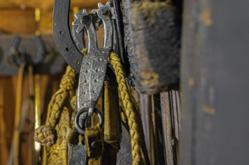 Foto - Quaraí 150 anos Emancipação Politica.