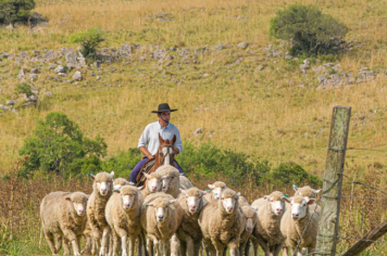 Foto - Quaraí 150 anos Emancipação Politica.