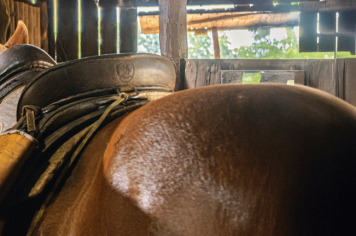 Foto - Quaraí 150 anos Emancipação Politica.
