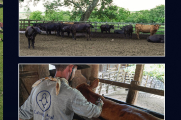 Foto - Quaraí 150 anos Emancipação Politica.