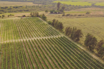 Foto - Quaraí 150 anos Emancipação Politica.