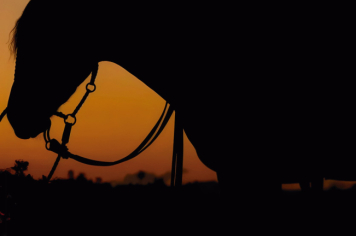 Foto - Quaraí 150 anos Emancipação Politica.