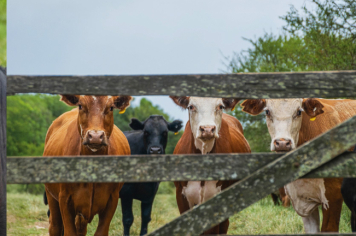 Foto - Quaraí 150 anos Emancipação Politica.