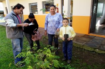  GOVERNO DR. RICARDO E MARIO DO PT DISTRIBUI MUDAS DE ÁRVORES
