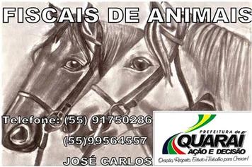 Fiscal de animais.