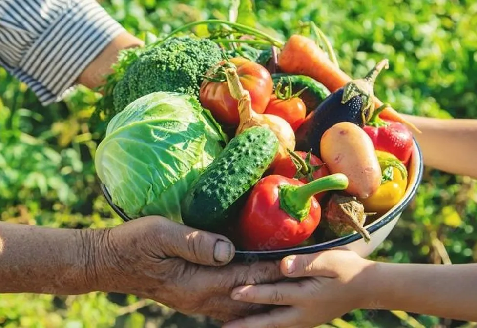 Programa de Recuperação Socioprodutiva, Ambiental e de Incremento da Resiliência Climática da Agricultura Familiar Gaúcha