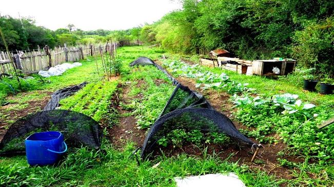 DOIS ANOS APÓS SUA CRIAÇÃO PROGRAMA MUNICIPAL QUE AUTORIZA O USO DE TERRAS PÚBLICAS NO INTERIOR É UM SUCESSO ABSOLUTO